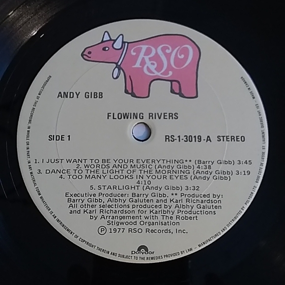 Andy Gibb - Flowing Rivers LP - Picture 3 of 4